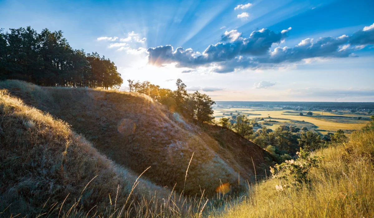 Jak zabrać się za prace na wysokościach