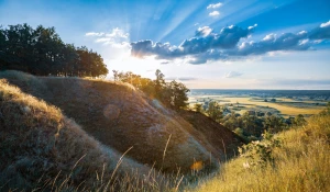Do czego przydają się podnośniki koszowe