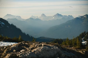 Wynajem zwyżki, dla kogo i po co?